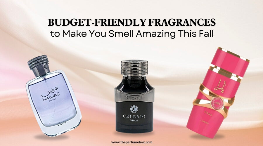 Budget-Friendly Fragrances to Make You Smell Amazing This Fall