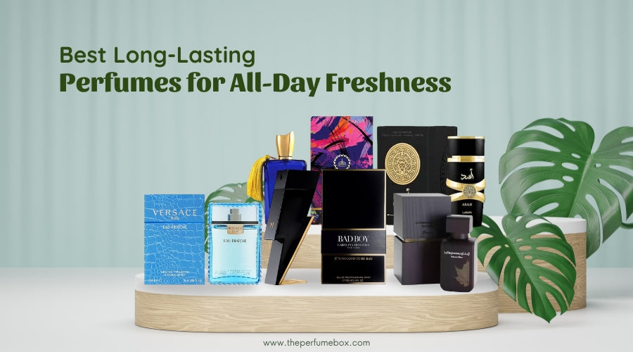 Best Long-Lasting Perfumes for All-Day Freshness