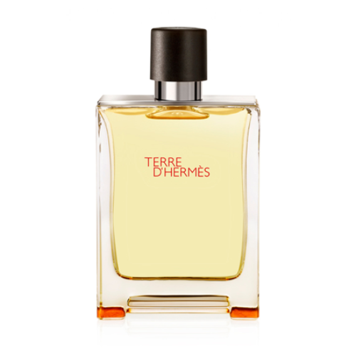 Terre D'Hermes Eau De Toilette